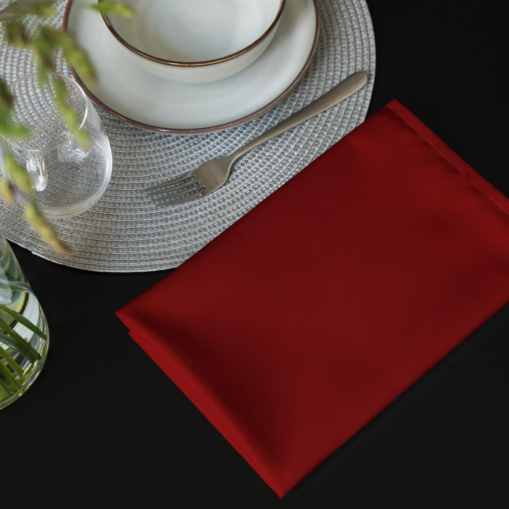 Cloth Napkin Set with White Christmas Accents (4) — 20 x 20 in Reusable Holiday Table Linens